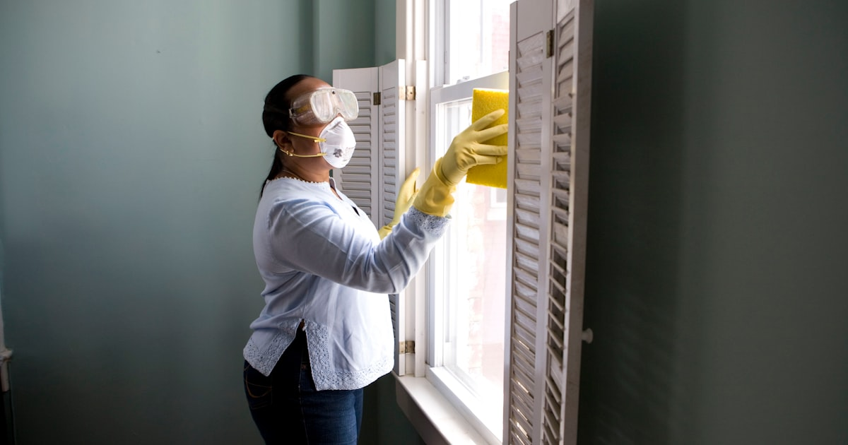 The Importance of Regular House Cleaning